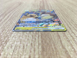 Raichu & Alolan Raichu GX 008/054 Double Rare GG End Pokemon Japanese - CE9659