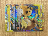 Raichu & Alolan Raichu GX 008/054 Double Rare GG End Pokemon Japanese - CE9659