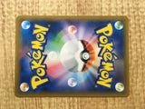 Raichu & Alolan Raichu GX 008/054 Double Rare GG End Pokemon Japanese - CE9659