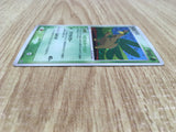 Tropius 014/082 Holo Rare Clash of the Blue Sky Pokemon Japanese LP - CE9814