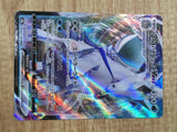 Ice Rider Calyrex V 044/184 Triple Rare S8b VMAX Climax Pokemon - CE9888