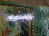 Nidoran No. 029 Glossy Common Vending Series 1 Pokemon Japanese LP - CF1004