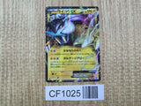 Raikou EX 025/069 Rare BW4 Dark Rush Pokemon Japanese LP - CF1025