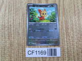 Lillipup 072/086 Common SV11W White Flare Pokemon Japanese LP - CF1169