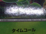 Celebi 001/036 CP5 Mythical Dream Shine Pokemon Japanese LP - CF1237
