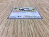 Pidove 205/BW-P Promo Daiichi Pan Pokemon Japanese LP - CF1344