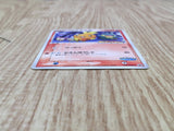 Pokepark's Torchic 047/PCG-P Promo PokePark Pokemon Japanese LP - CF1500
