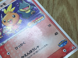 Pokepark's Torchic 047/PCG-P Promo PokePark Pokemon Japanese LP - CF1501