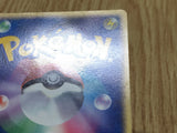 Pokepark's Torchic 047/PCG-P Promo PokePark Pokemon Japanese LP - CF1501