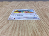 Pokepark's Munchlax 040/PCG-P Promo PokePark Pokemon Japanese LP - CF1503