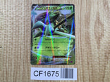 Sceptile EX 007/081 Double Rare XY7 Bandit Ring Pokemon Japanese LP - CF1675