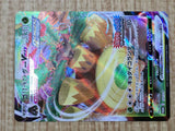 Rillaboom VMAX 171/S-P Promo S-P Sword & Shield Promos Pokemon Japanese - CF1740