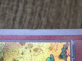 Arcanine 014/080 Holo Rare Magma vs Aqua Pokemon Japanese LP - CF1770
