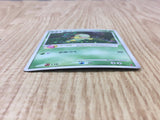 Turtwig 001/PPP Promo PPP Promos Pokemon Japanese LP - CF1959