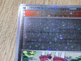 Teammates 147/171 SM The Best of XY Pokemon Japanese LP - CF2054