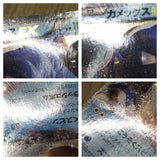Blastoise EX 234 Promo Special Pack Pokemon Japanese LP - CF2058