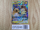 Raichu & Alolan Raichu GX 008/054 Double Rare GG End Pokemon Holo LP - CF2246 - Photo 1