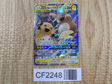 Raichu & Alolan Raichu GX 008/054 Double Rare GG End Pokemon Holo LP - CF2248 - Photo 1