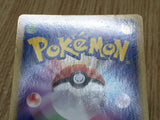 Michina Temple 044/DPT-P Promo Movie Special Pack Pokemon Japanese LP - CF2578 - Photo 11