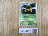 Grotle Entry Pack '08 Pokemon Lightly Played - CF2613 - Photo 1