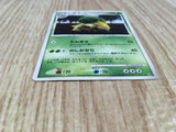 Grotle Entry Pack '08 Pokemon Lightly Played - CF2613 - Photo 3