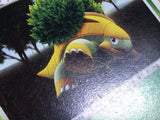 Grotle Entry Pack '08 Pokemon Lightly Played - CF2613 - Photo 5