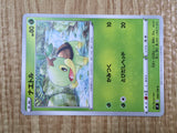 Turtwig 006/100 Common Star Birth Pokemon Lightly Played - CF2684 - Photo 5