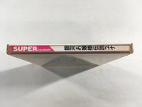 DK8269 Galaxy Fraulein Yuna CD ROM 2 PC Engine Japan