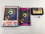 DK8513 Castle of Illusion I Love Mickey Mouse BOXED Mega Drive Genesis Japan