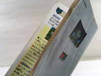 DK8534 Super Hydlide BOXED Mega Drive Genesis Japan