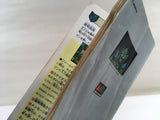 DK8534 Super Hydlide BOXED Mega Drive Genesis Japan