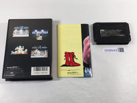 DK8543 Final Blow BOXED Mega Drive Genesis Japan