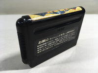 DK8550 Ghouls 'n Ghosts Dai Makaimura BOXED Mega Drive Genesis Japan