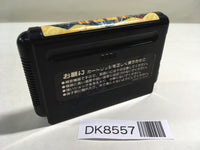 DK8557 Ghouls 'n Ghosts Dai Makaimura Mega Drive Genesis Japan