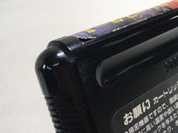 DK8559 Phantasy Star II Kaerazaru Toki no Owari ni Mega Drive Genesis Japan