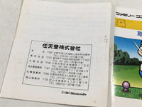 DK8699 Golf BOXED Famicom Disk Japan