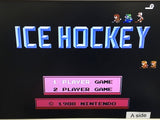 DK8846 Ice Hockey Famicom Disk Japan