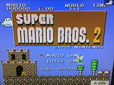 DK8849 Super Mario Bros. 2 Famicom Disk Japan