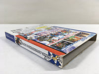 DK8913 Sonic Adventure 2 Battle BOXED GameCube Japan