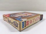 DK9134 Tarot no Yakata BOXED Sega Game Gear Japan
