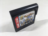 DK9169 Royal Stone Hirakareshi Toki no Tobira Sega Game Gear Japan