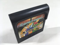 DK9204 Eternal Legend Eien no Densetsu Sega Game Gear Japan