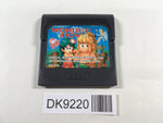 DK9220 Wonder Boy Sega Game Gear Japan
