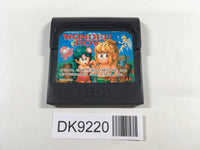 DK9220 Wonder Boy Sega Game Gear Japan