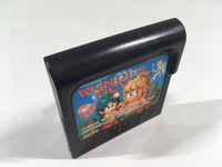 DK9220 Wonder Boy Sega Game Gear Japan