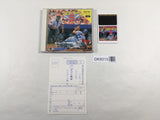 DK9313 Power League V BOXED PC Engine Japan