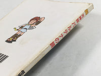 DK9418 Kid Icarus BOXED Famicom Disk Japan