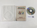 DK9610 Paper Mario The Thousand Year Door GameCube Japan