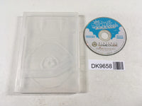 DK9658 Super Mario Sunshine GameCube Japan