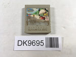 DK9695 Memory Card for Nintendo Game Cube GameCube Japan
